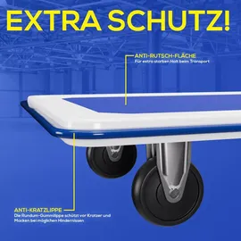 Tronitechnik Plattformwagen 150 kg