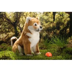 Kuscheltier Shiba-Inu Welpe sitzend 22 cm Hund (Hund Shiba-Inu Welpe sitzend 22 cm, Made in Germany, Plüschtier, Plüschhunde, Stofftier, Stoffhunde)