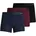 Basic BAMBOO TRUNKS 12198852