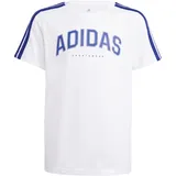 adidas Codes Collegiate Graphic Kinder - 152