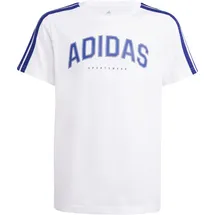 adidas Codes Collegiate Graphic Kinder - 152