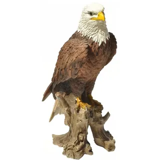 dazikemo Dekofigur Gartenfigur Weißkopfseeadler