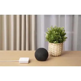 SwitchBot Hub Mini, Matter Enabled