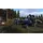 Dayz Ps4 (New)
