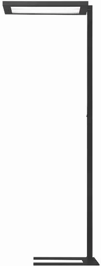 Waldmann Light LED-Stehleuchte 00812433