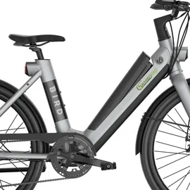 SachsenRAD xBird Urban City Bike C6F Connect Damen 26 Zoll grey