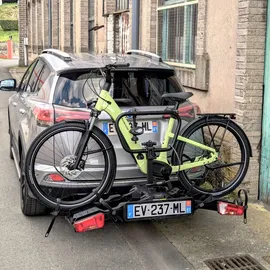 BuzzRack Scorpion Pro 3