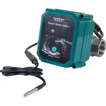 Shelly FrankEver Smart Water Valve - Wasserventil DN25