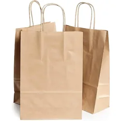 100 Braune Kraftpapiertüten mit Henkeln 25x10x32cm - Tasche für Einkäufe, Geschenke, Hochzeiten