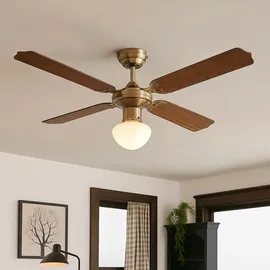 ETC Shop Deckenventilator 106,6 cm Eiche Geflecht