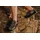 Guggen Mountain Wanderschuhe Widder in Gelb - Schwarz - 41