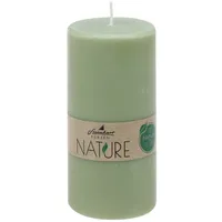 Stumpenkerzen Nature Salbei 120 x Ø 58 mm aus