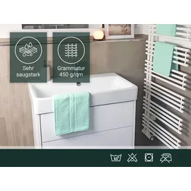 ZOLLNER Handtuchset 10-tlg. mint