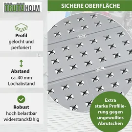 Trutzholm Auffahrrampe 200 cm 270 kg starr Aluminium perforiert silber 1 St.