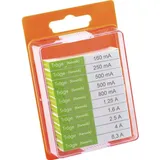 Eska 122.850 122850 Feinsicherung-Sortiment (Ø x L) 5mm x 20mm Träge -T- Inhalt 100St.