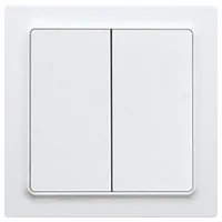 Eltako FoH-Funk-2-Kanal-Taster FT55EH-wg