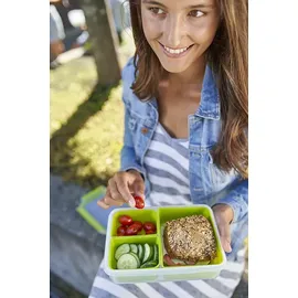 Emsa Clip & Go Snackbox grün 1,2 l