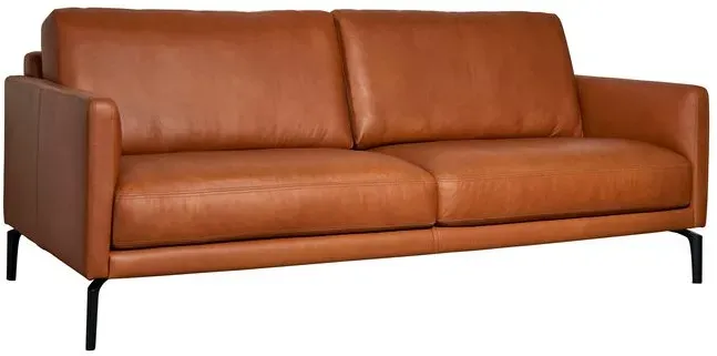 Sormani Sofa Latina Leder Braun Cognac