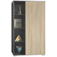 Vladon Standvitrine Davos (Standvitrine, mit 3 Glasböden und 8