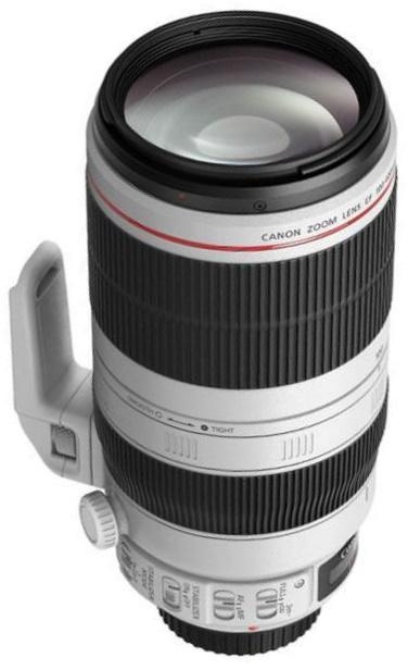 Canon EF 100-400 mm/4,5-5,6 L IS II USM - 0 % Finanzierung über 24 Monate möglich - Aktion bis 05.05.