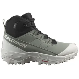 Salomon Crosstrak WP W AgViolet Agave Green/Black/Canary Green 41 1/3