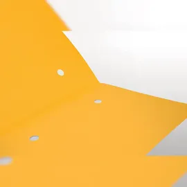 Falken Sammelmappe Forever® DIN A4 gelb,