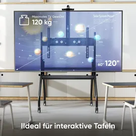 ONKRON TV Ständer für 60-120 Zoll TVs bis 120 kg, professioneller TV Standfuss höhenverstellbar - max VESA 1000x600 Fernseher Rollwagen/TV Wagen mit Rollen Schwarz TS2080-B