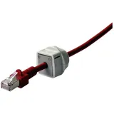 ICOTEK QVT 20 Kabeldurchführung teilbar Polycarbonat Grau