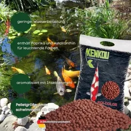 Kenkou Fischfutter Koi Color 5 kg