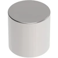 Maul Magnete silber, Metall Ø 1,0 x 1,0 cm, 4 St.
