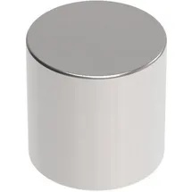Maul Magnete silber, Metall Ø 1,0 x 1,0 cm, 4 St.