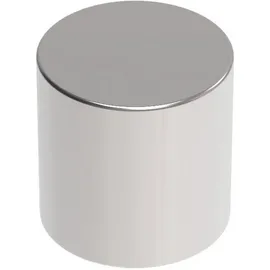 Maul Magnete silber, Metall Ø 1,0 x 1,0 cm, 4 St.