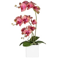 DbKW Große Orchidee im Keramiktopf Kunstblumen Dekoration, 55 cm! (50041)