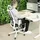 Yaasa Chair Expert Weiß