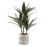 CASANOVA casa NOVA Kunstpflanze Palme H 43 cm KASIAS, Grün - H 43 cm - beiger Steintopf