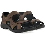 ECCO Onroads Herren cocoa brown/black 47