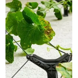 Gusta Garden Cucumber Buddy 18 x 108 x 14 cm Schwarz