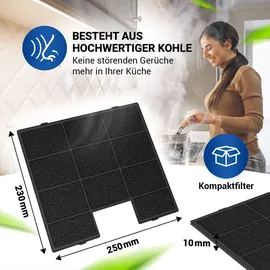 Vioks Aktivkohlefilter Dunstabzugshaube 230x250x10mm