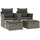 vidaXL Gartensofa 2-Sitzer mit Hockern Grau Poly Rattan
