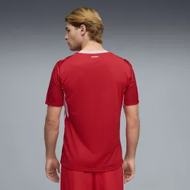 Puma Schweiz Heimtrikot (Replica) 2026 Herren Gr. S