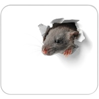 RNK RNK-Verlag "Mausi" Mousepad-Block, Mousepad und Notizblock in einem, 30 Blatt
