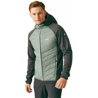 Regatta Andreson Viii Jacke - Agave Green / Ash - 3XL