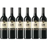 6x Camigliano Brunello di Montalcino, 2019 - Camigliano, Toscana! Wein