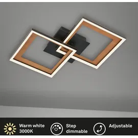 Briloner LED Deckenleuchte Frames 44 cm schwarz drehbar