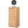 vogl möbelfabrik Toronto Aktenschrank 52 cm x 119 cm x 42 cm beige