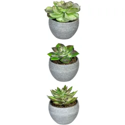 Künstliche Zimmerpflanze CREATIV GREEN "Sukkulenten", grün, H:9cm Ø:7,5cm, Kunststoff, Kunstpflanzen