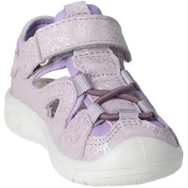 Pepino Gary Lila 25