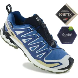 Salomon XA Pro 3D V9 GTX Herren Dark Blue/Icicle/Aloe 44