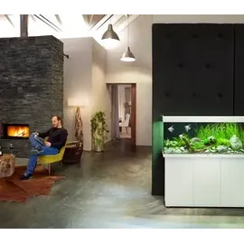 juwel® aquarium JUWEL Rio 240 LED weiß