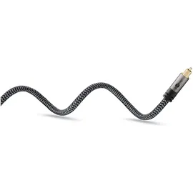 goobay Toslink-Kabel Toslink Stecker auf Toslink Stecker 2 m Schwarz/Silber